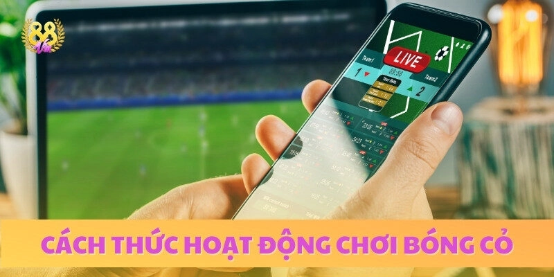 Yếu tố cần lưu ý khi tham gia cược bóng cỏ