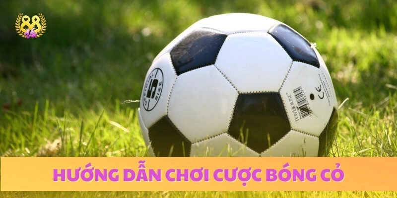 Chơi Cược Bóng Cỏ – Hướng Dẫn Toàn Diện Cho Người Mới Bắt Đầu