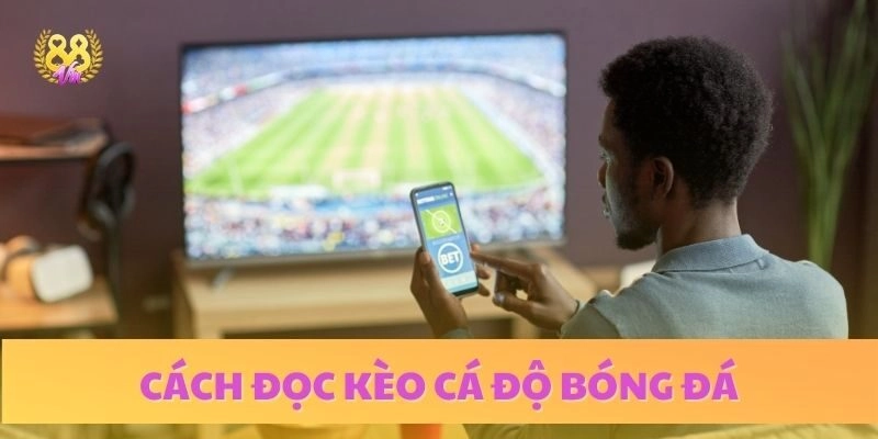 Hướng dẫn cách đọc kèo chuẩn xác trong cược bóng đá